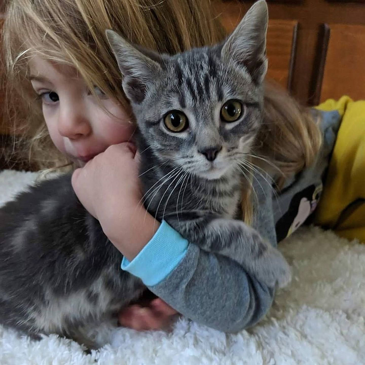 Adopt a Pet | Catrick Swayze